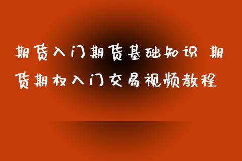 期货入门期货基础知识 期货期权入门交易视频教程