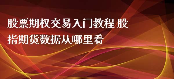 股票期权交易入门教程 股指期货数据从哪里看