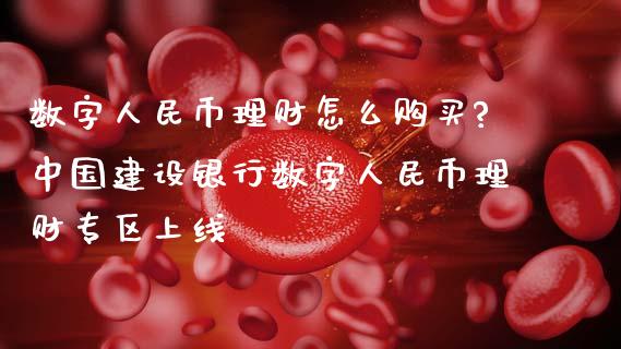 数字币理财怎么购买?中国建设银行数字币理财专区上线