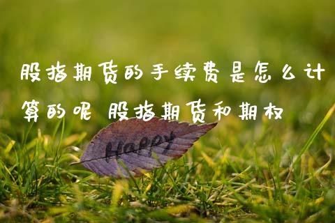 股指期货的手续费是怎么计算的呢 股指期货和期权