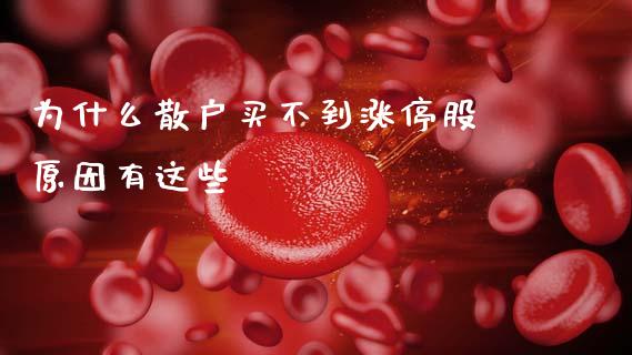 为什么散户买不到涨停股 原因有这些