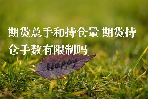 期货总手和持仓量 期货持仓手数有限制吗