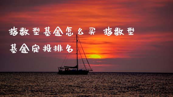 指数型基金怎么买 指数型基金定投排名