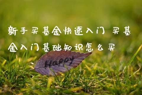 新手买基金快速入门 买基金入门基础知识怎么买