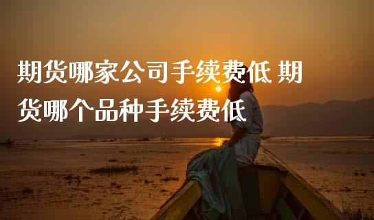 期货哪家公司手续费低 期货哪个品种手续费低