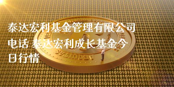泰达宏利基金管理有限公司电话 泰达宏利成长基金今日行情