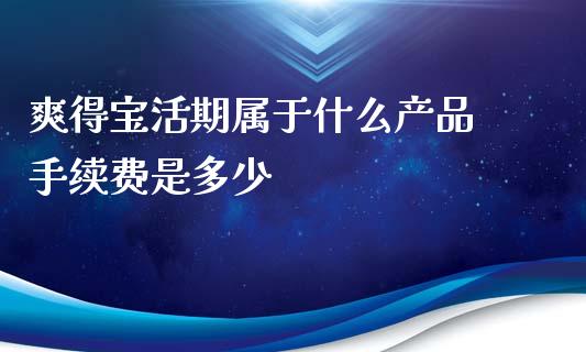 爽得宝活期属于什么产品 手续费是多少