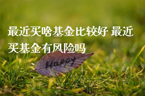 最近买啥基金比较好 最近买基金有风险吗
