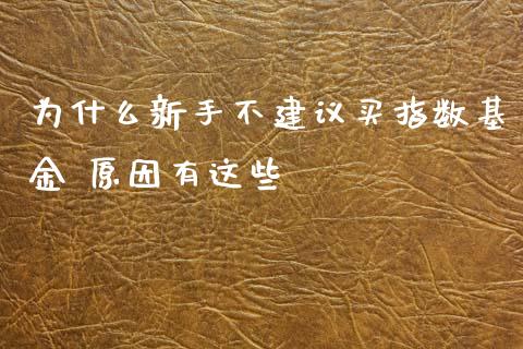 为什么新手不建议买指数基金 原因有这些