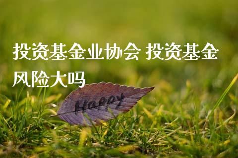 投资基金业协会 投资基金风险大吗