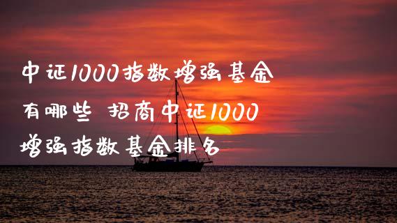 中证1000指数增强基金有哪些 招商中证1000增强指数基金排名