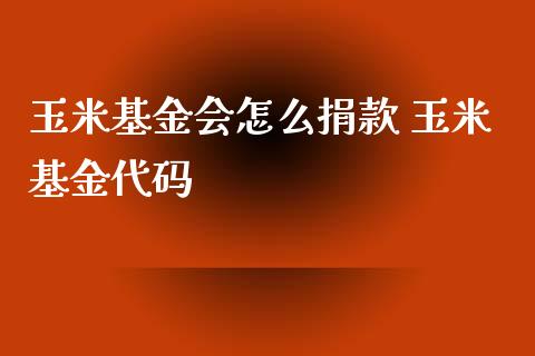 玉米基金会怎么捐款 玉米基金代码