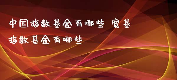 中国指数基金有哪些 宽基指数基金有哪些