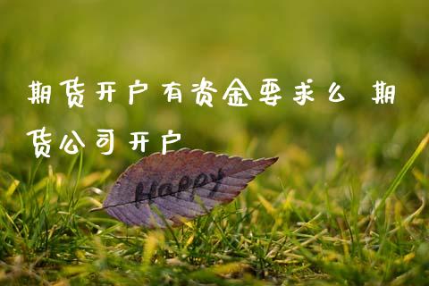 期货开户有资金要求么 期货公司开户