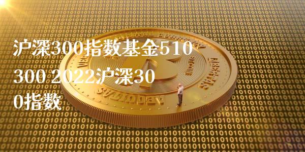 沪深300指数基金510300 2022沪深300指数