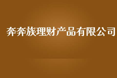 奔奔族理财产品有限公司