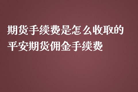 期货手续费是怎么收取的 平安期货佣金手续费
