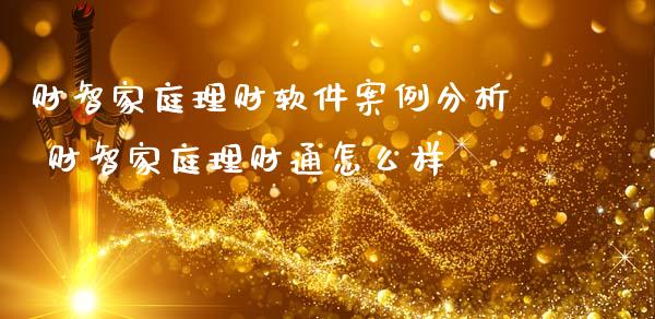财智家庭理财软件案例分析 财智家庭理财通怎么样