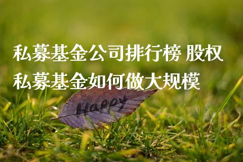 私募基金公司排行榜 股权私募基金如何做大规模