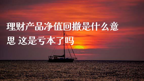 理财产品净值回撤是什么意思 这是亏本了吗