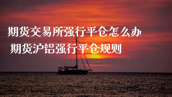 期货交易所强行平仓怎么办 期货沪铝强行平仓规则