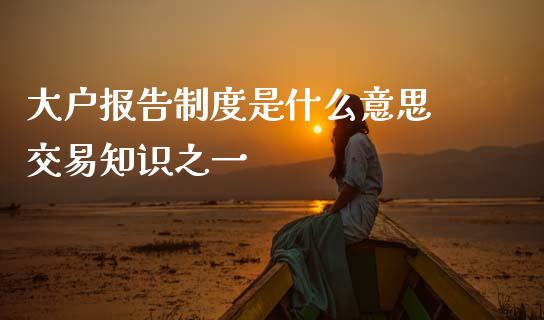 大户报告制度是什么意思 交易知识之一