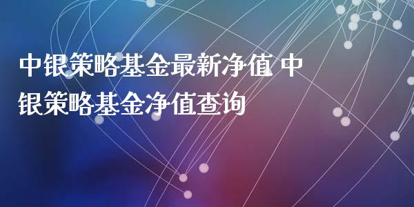 中银策略基金最新净值 中银策略基金净值查询