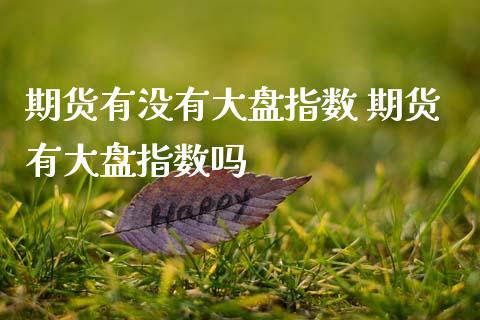 期货有没有大盘指数 期货有大盘指数吗
