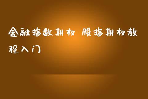 金融指数期权 股指期权教程入门