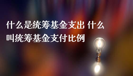 什么是统筹基金支出 什么叫统筹基金支付比例