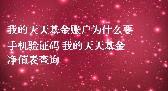 我的天天基金账户为什么要手机验证码 我的天天基金净值表查询