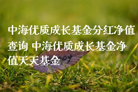 中海优质成长基金分红净值查询 中海优质成长基金净值天天基金