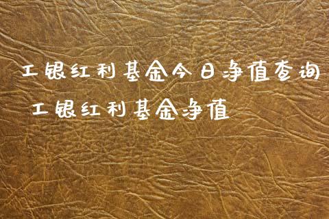 工银红利基金今日净值查询 工银红利基金净值