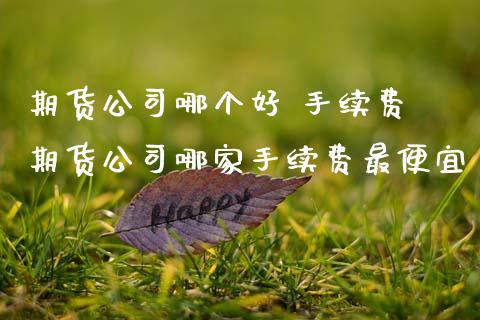 期货公司哪个好 手续费 期货公司哪家手续费最便宜