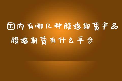 国内有哪几种股指期货产品 股指期货有什么平台