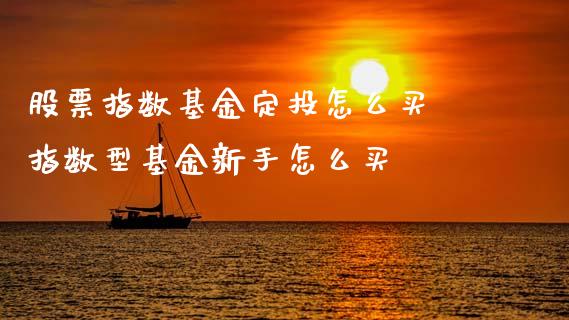 股票指数基金定投怎么买 指数型基金新手怎么买