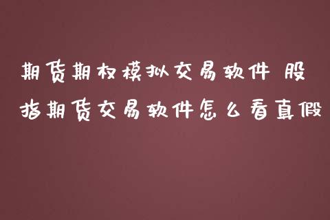 期货期权模拟交易软件 股指期货交易软件怎么看真假
