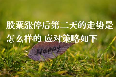 股票涨停后第二天的走势是怎么样的 应对策略如下