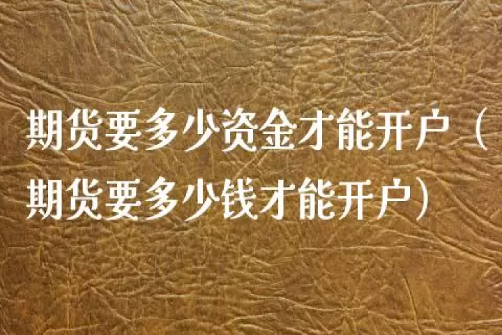 多少资金才做指数期货(指数期货杠杆多少倍)