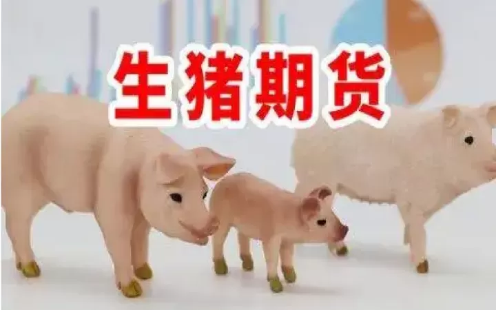生猪期货场外交易解读(生猪期货如何交割)