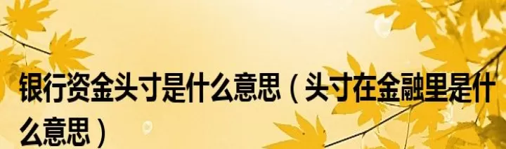 什么时期持有期货头寸(期货头寸是什么意思)