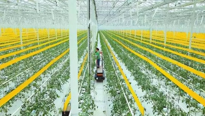 期货市场在农业生产中的作用(期货农业的好做还是工业好做)_保险理财_第1张_宇龙理财网 期货市场在农业生产中的作用(期货农业的好做还是工业好做)_https://www.dglong8.com_保险理财_第1张