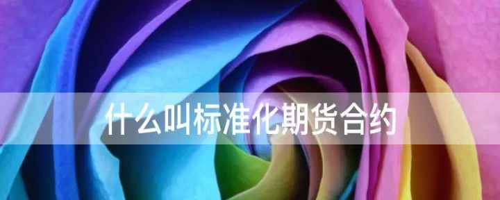 期货的标准化是(期货合约中什么是标准化的)_https://www.dglong8.com_期货知识_第1张