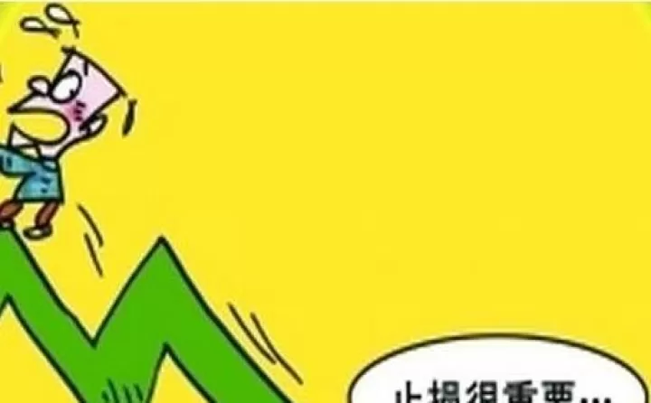 股指期货止损成本过高(股指期货要止损吗)_期货知识_第1张_宇龙理财网 股指期货止损成本过高(股指期货要止损吗)_https://www.dglong8.com_期货知识_第1张