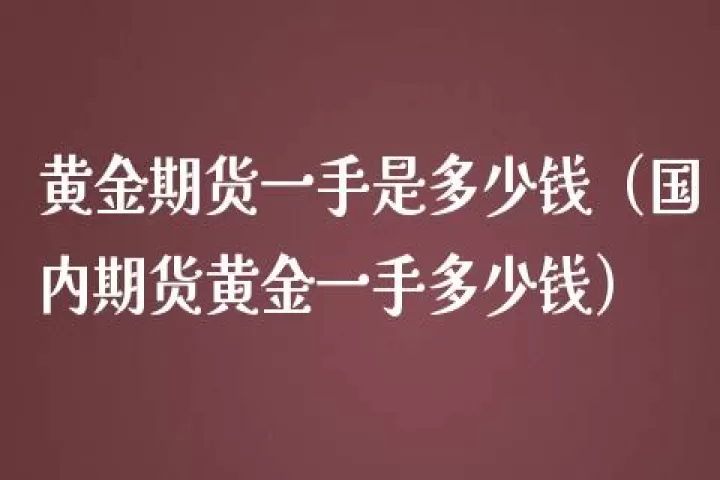 黄金期货内盘手续费(黄金期货手续费)