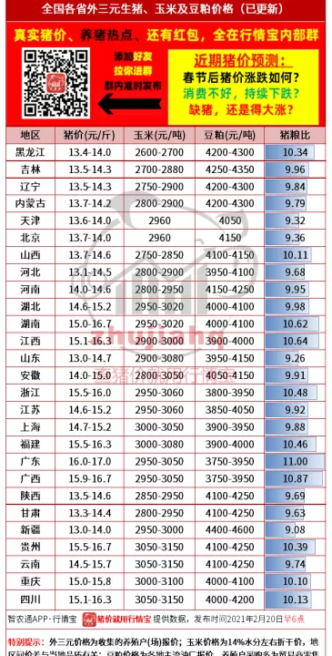 生猪期货涨毛猪会涨吗(生猪期货涨5个点价值多少)