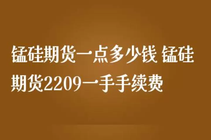 期货锰硅期货手续交易费(期货锰硅交易手续费)