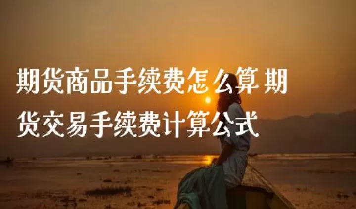 期货手续费的调整从哪里看出来(期货的手续费一直那么高吗)
