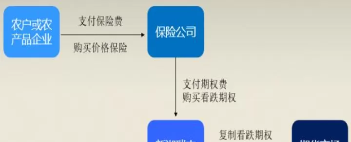 什么叫期货保险(什么叫期货保险交易)