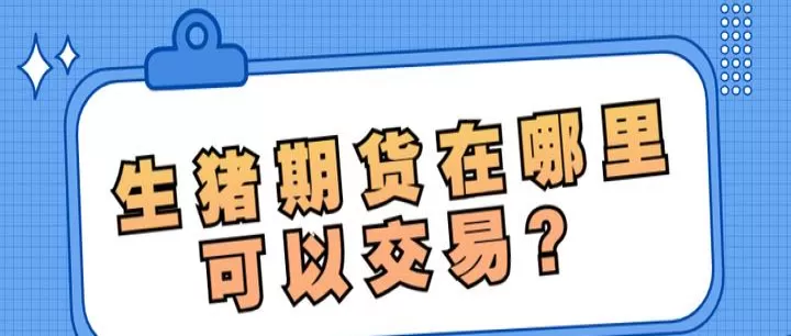 生猪期货项目招标(生猪期货标的标准)